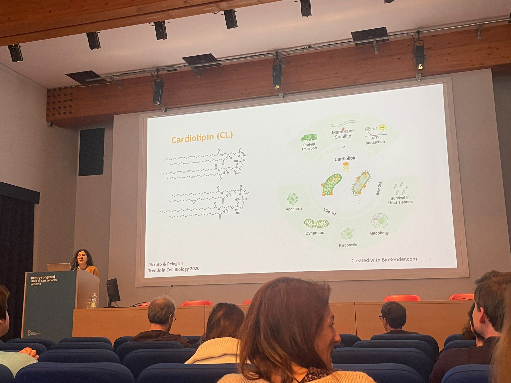 2024 QIRC Travel Award Recipients